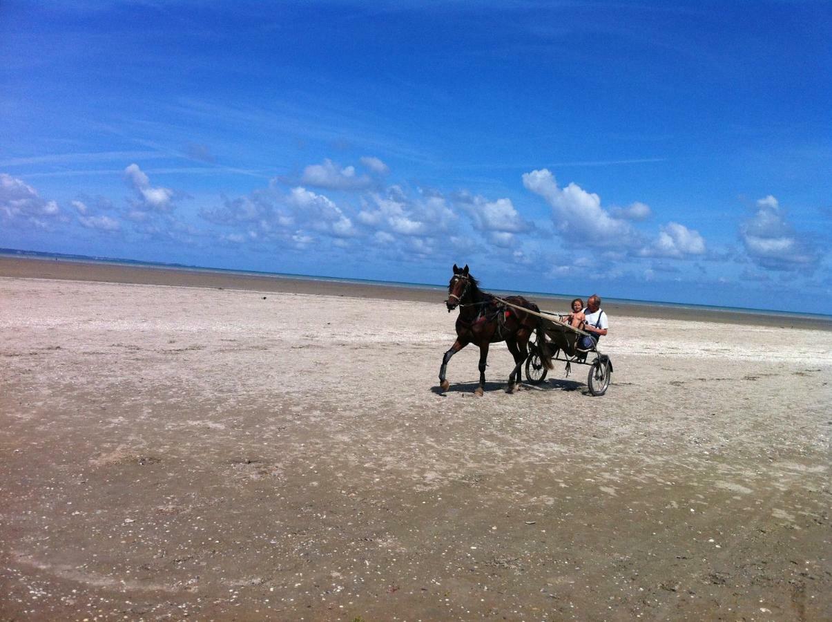Gite Christian Mont St Michel Sacey エクステリア 写真