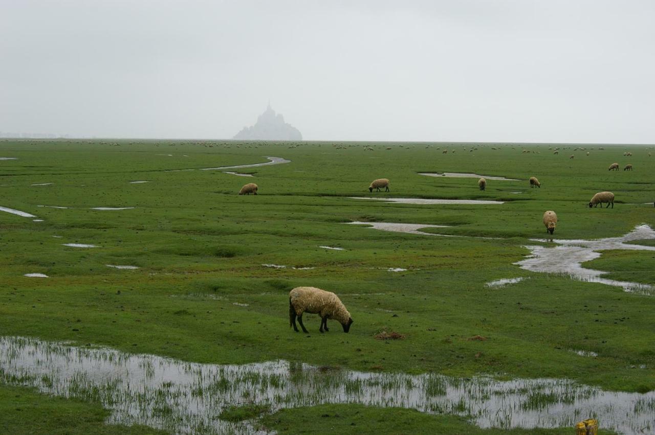 Gite Christian Mont St Michel Sacey エクステリア 写真